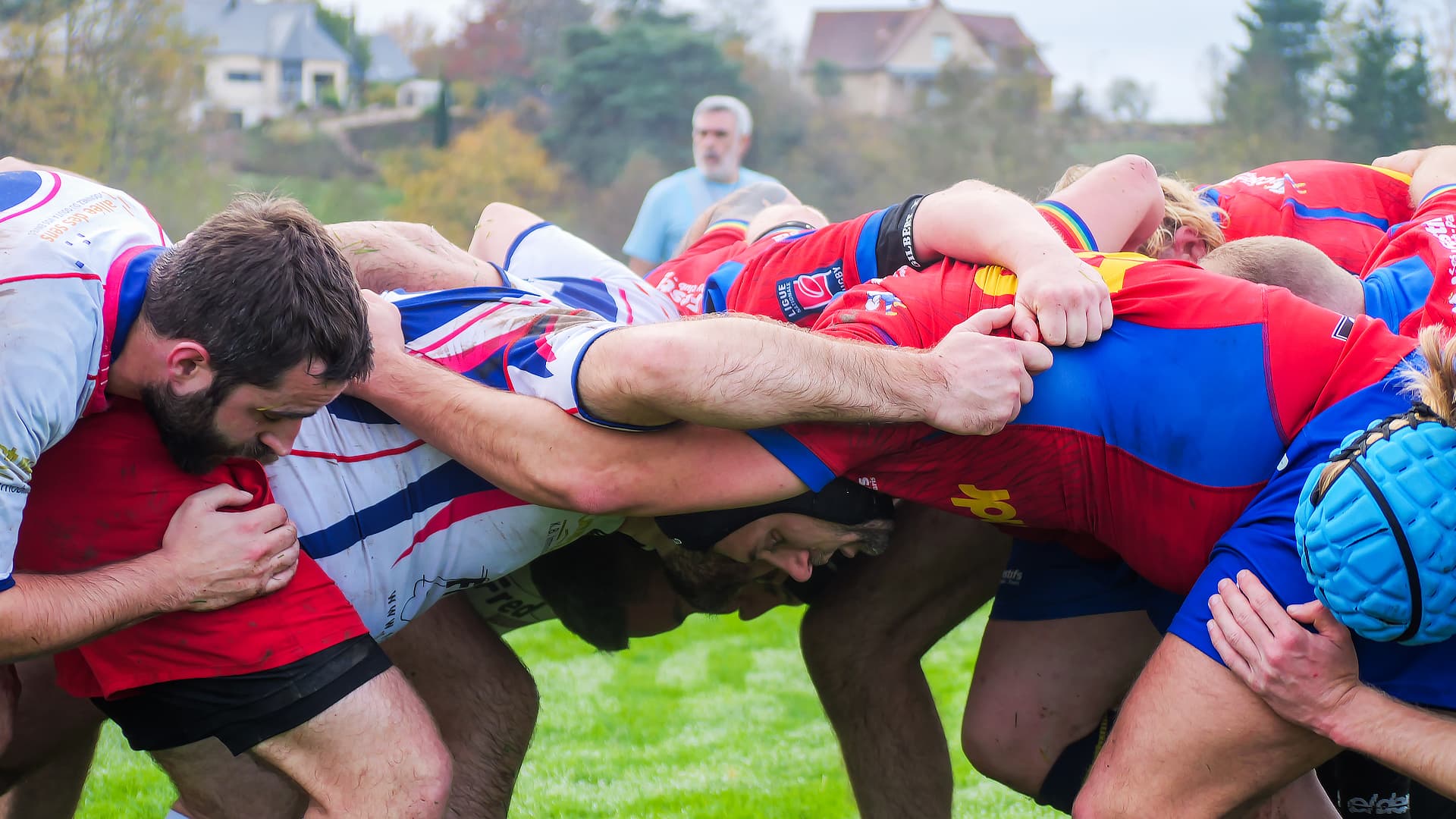 Les Coqs Festifs — photo d'équipe à l'entraînement ou en match