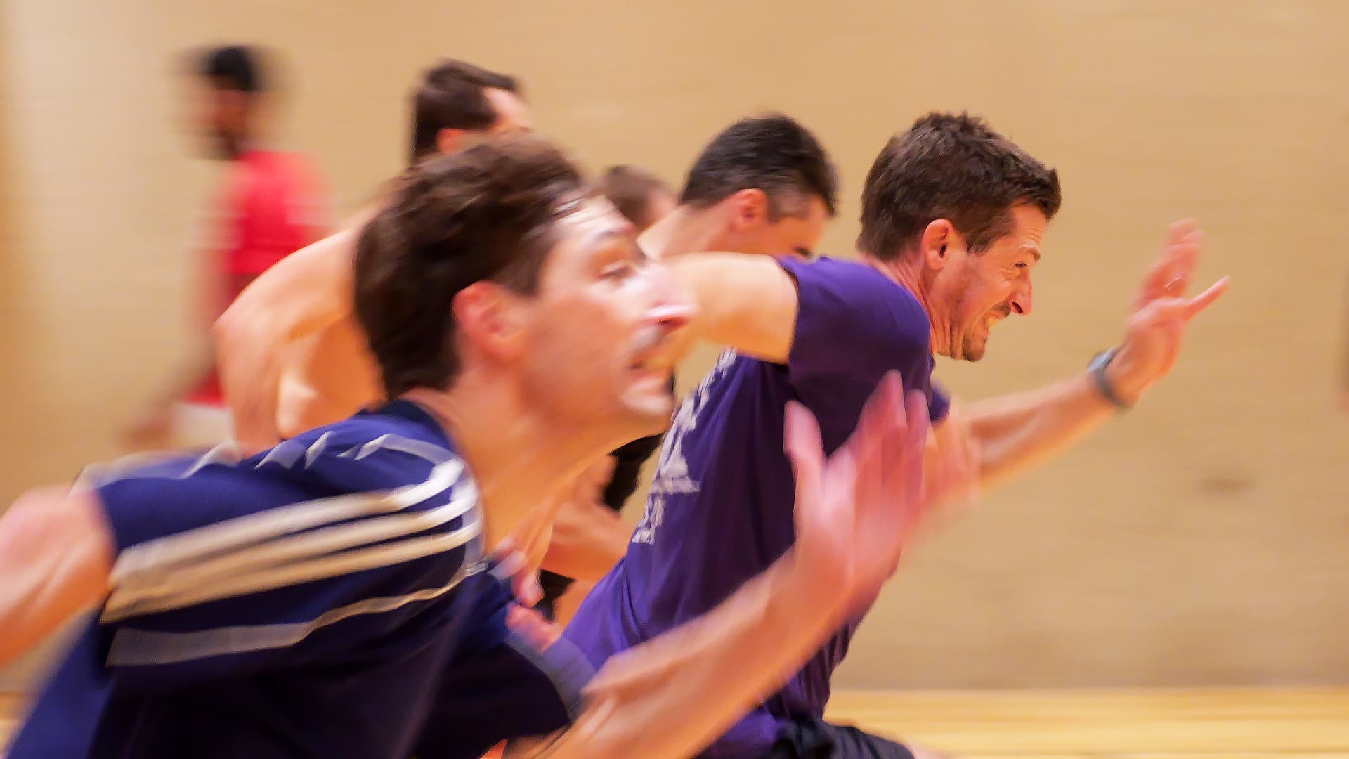 Les Coqs Festifs — photo d'équipe à l'entraînement ou en match